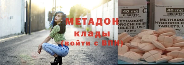 сатива Новозыбков