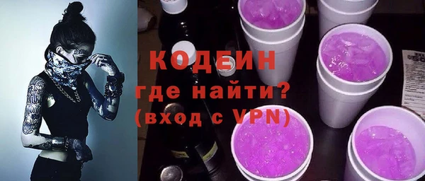 сатива Новозыбков