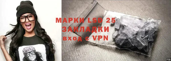 сатива Новозыбков