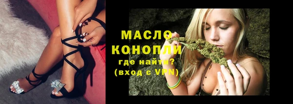 сатива Новозыбков
