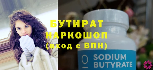 сатива Новозыбков