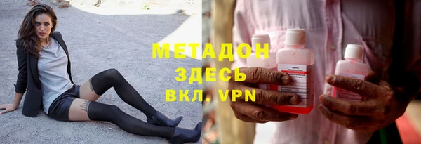 сатива Новозыбков