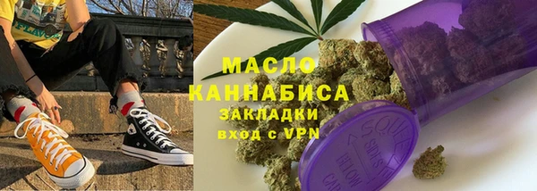 сатива Новозыбков