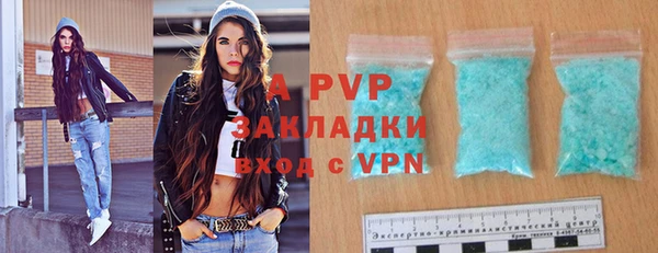 сатива Новозыбков