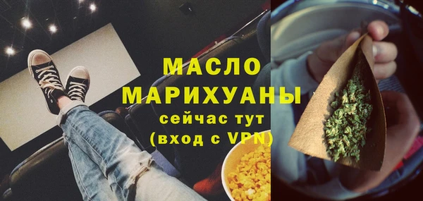 сатива Новозыбков
