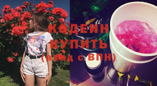 сатива Новозыбков