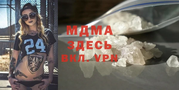 сатива Новозыбков
