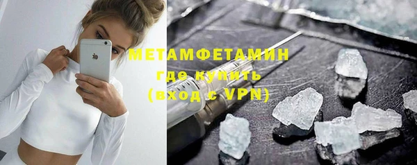 сатива Новозыбков