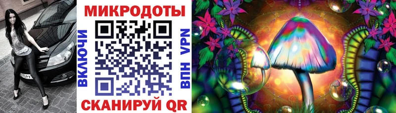 Галлюциногенные грибы Psilocybe  продажа наркотиков  Лыткарино 