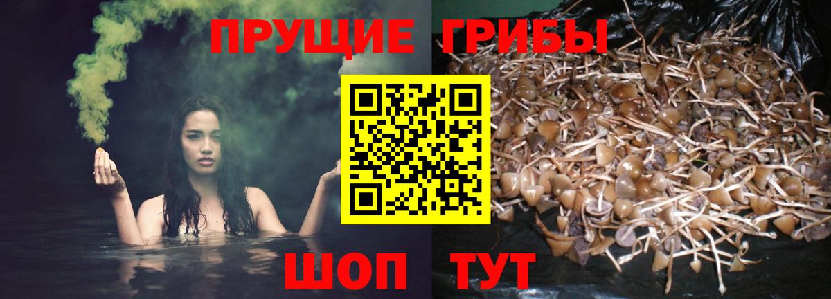 Галлюциногенные грибы мицелий Лыткарино